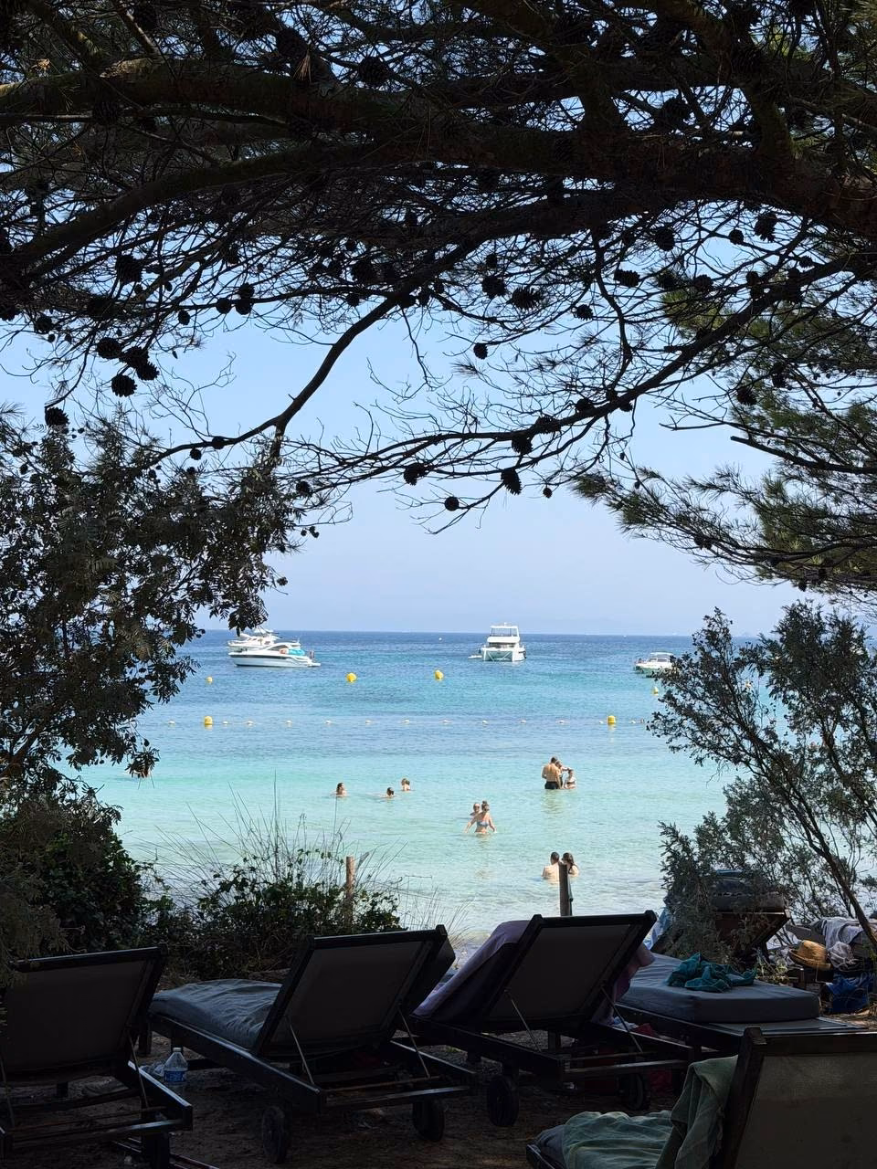 La plage de Porquerolles, vue sous les pins