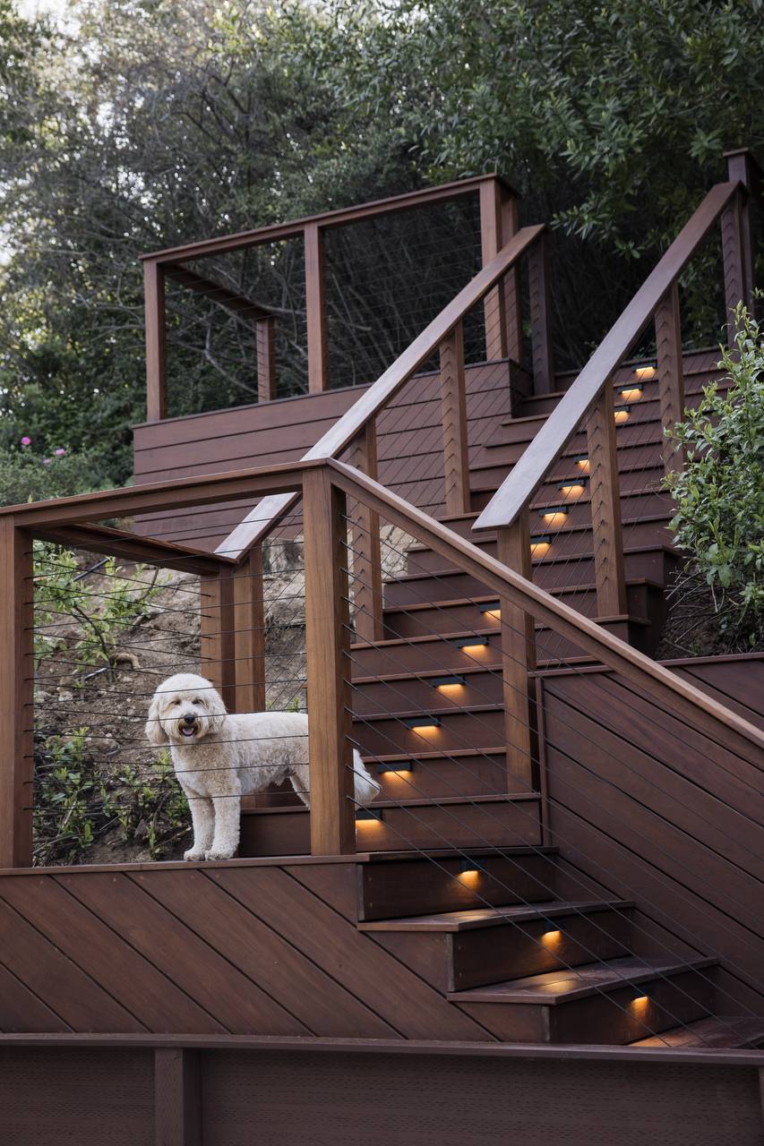 Warm and inviting wooden deck staircase featuring built-in step lighting, surrounded by lush greenery and a fluffy white dog. Cozy evening outdoor living space perfect for relaxing with pets and enjoying nature.