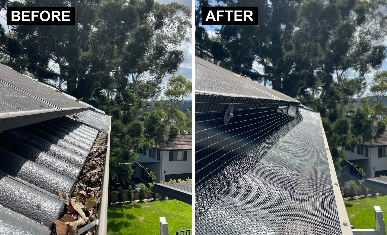 Solar panel bird mesh before and after — debris-filled gutter then 304 stainless steel mesh installed by My Gutter Guards