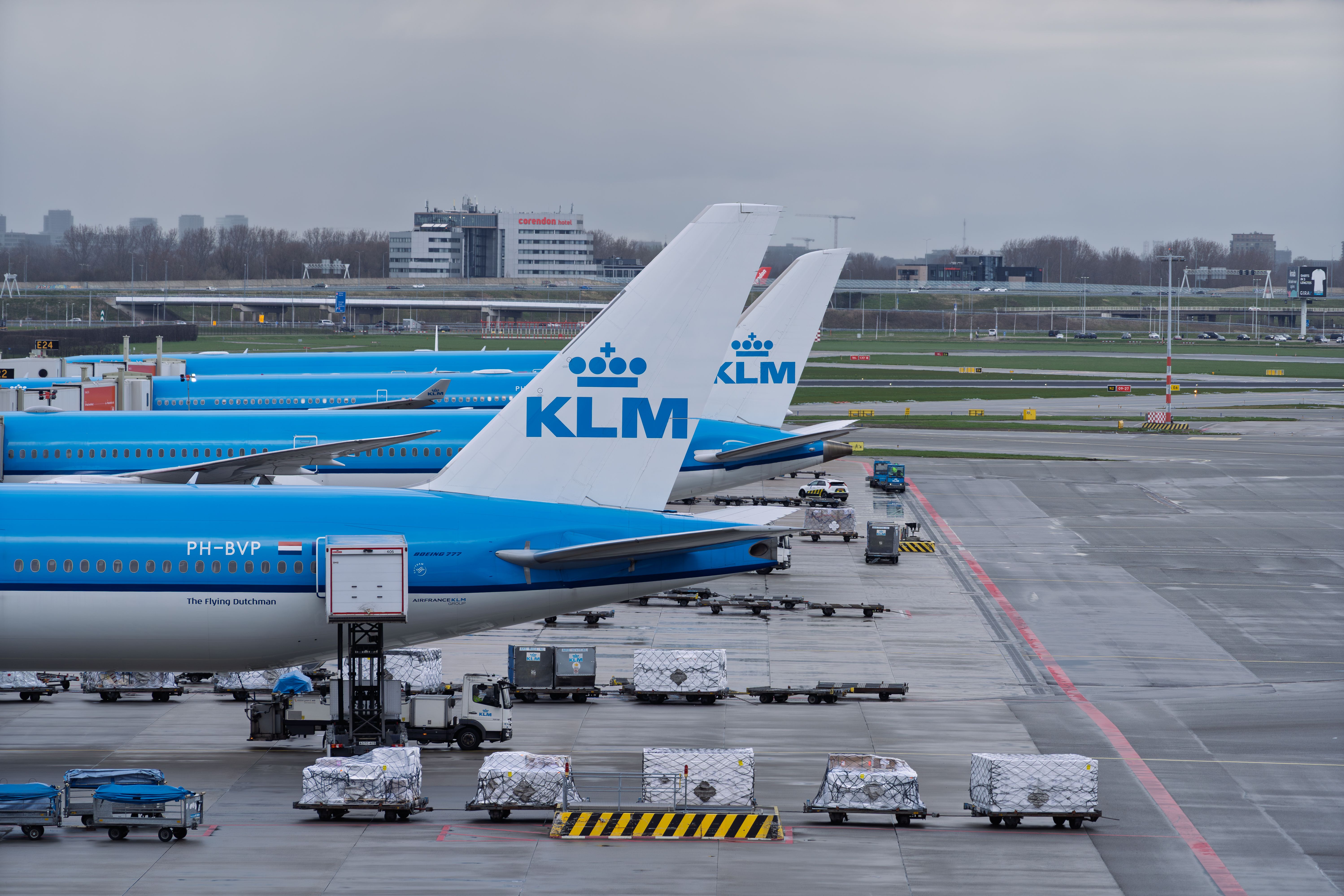 The International Hire in Dutch Portfolio Companies.
