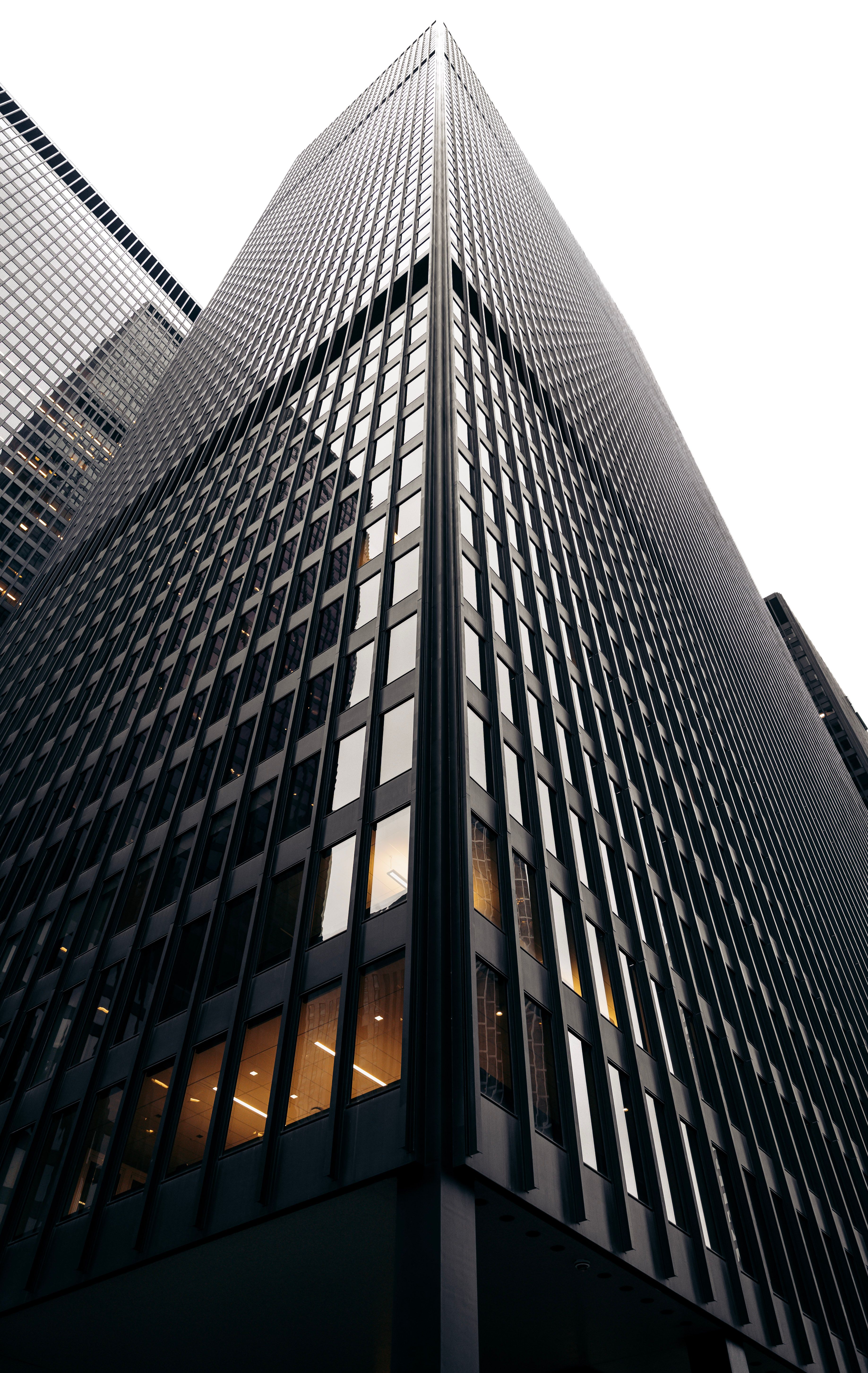 The Leadership Skills That Scaling Actually Demands