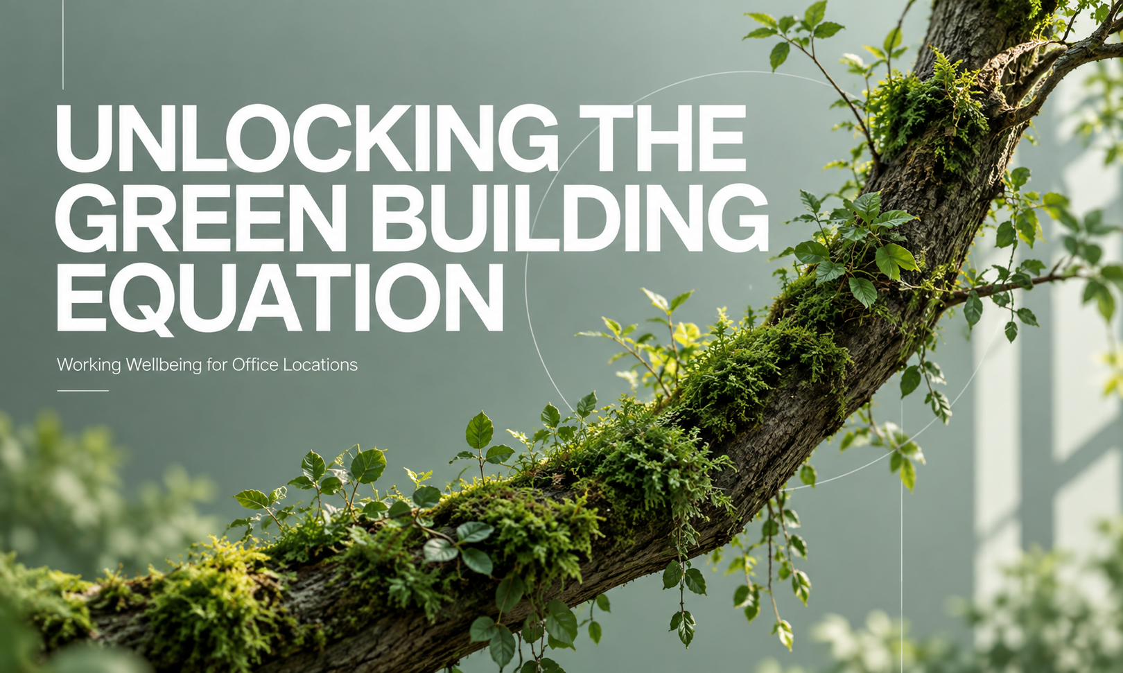Unlocking the Green Building Equation: Creating Working Wellbeing to Become an Office Location Tenants Are Willing to Pay For