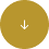 White downward arrow inside a gold circular background.