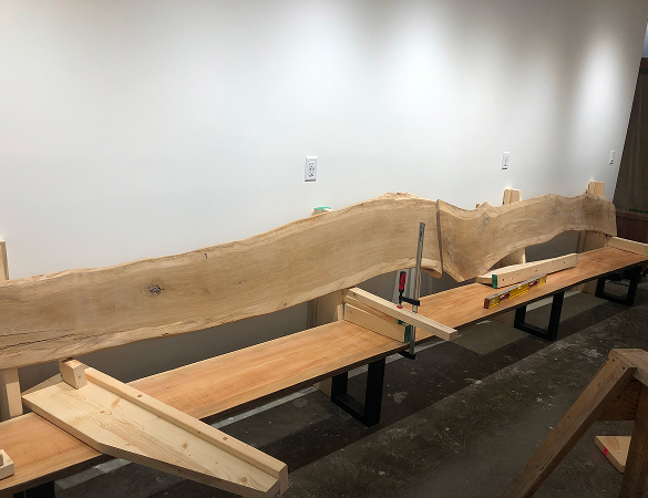 Long raw wood slab clamped and supported on benches in a workshop with a plain wall background.