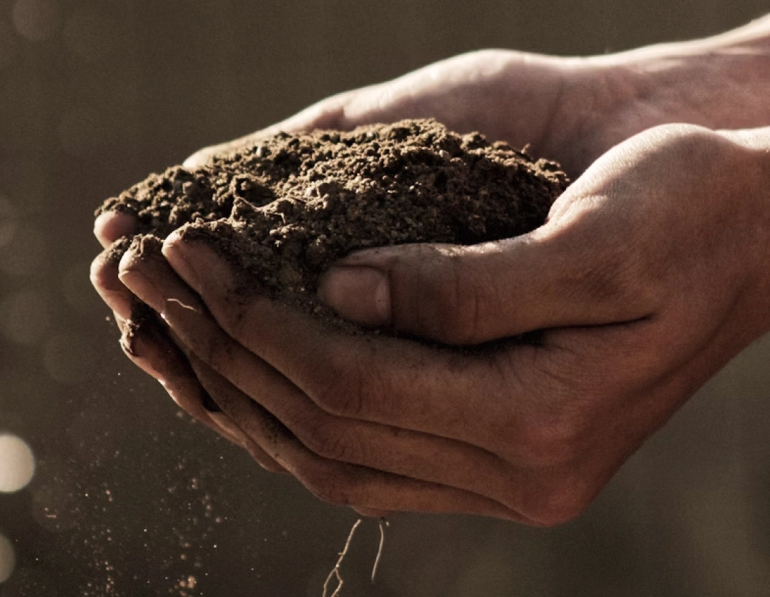 Close-up of hands holding a handful of dark, loose soil with small particles falling.