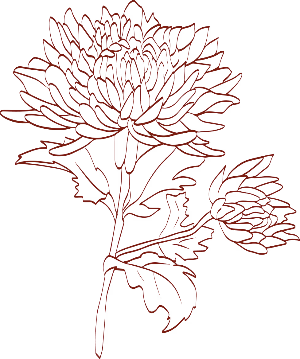 Red outlined chrysanthemum flower and bud on black background.