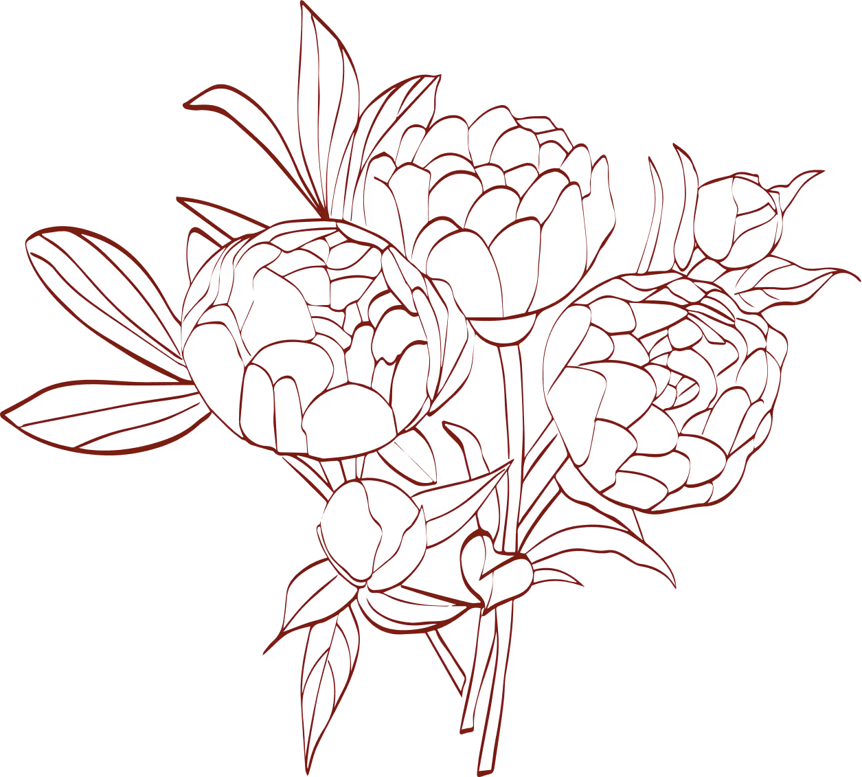 Red line drawing of three peony flowers with leaves on black background.