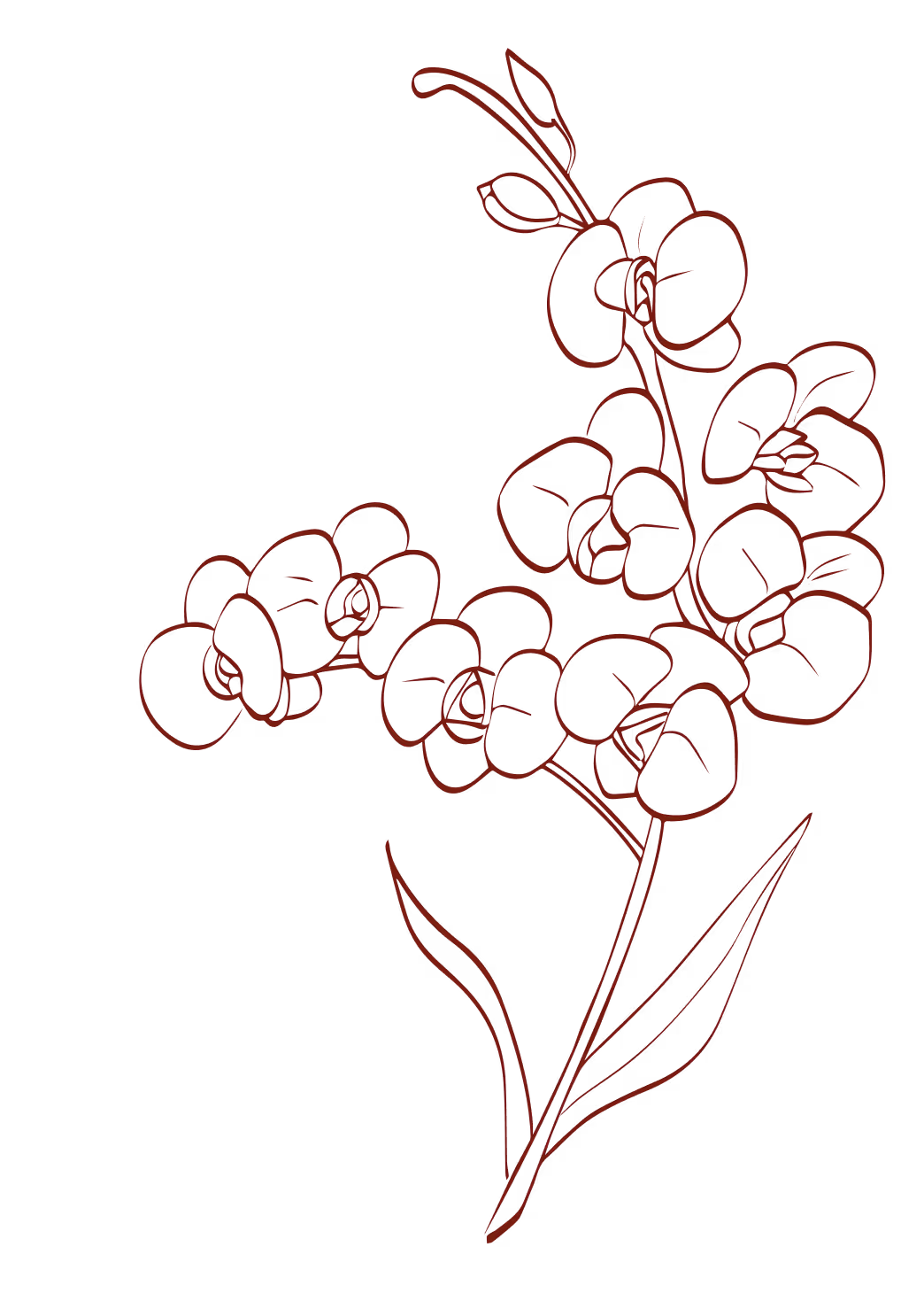 Red line drawing of orchid flowers with stems and two leaves on a black background.