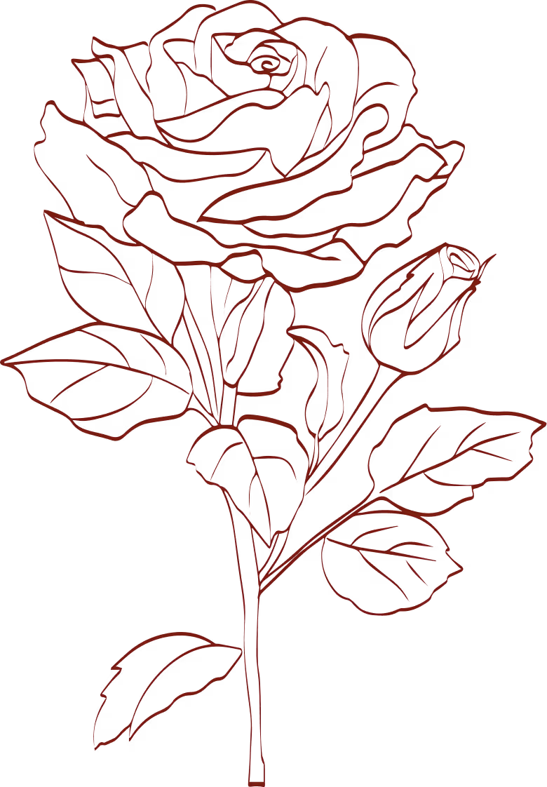 Detailed red outline drawing of a rose flower with leaves and a rosebud on black background.