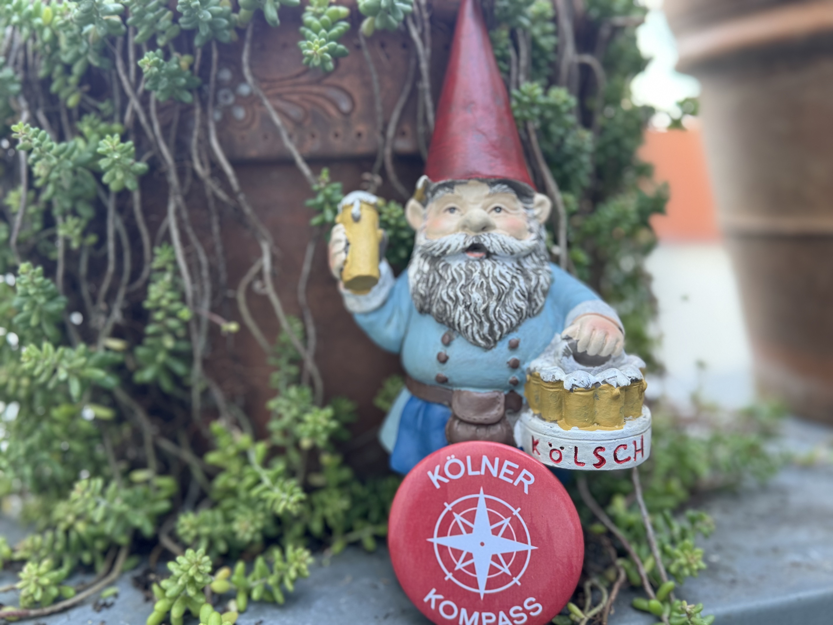 Blog Post vorschau Foto passend zum inhalt