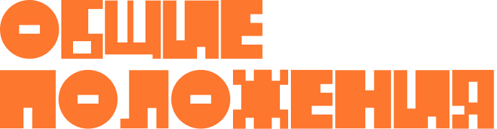 Bold orange Russian text reading 'Общие положения' on white background.