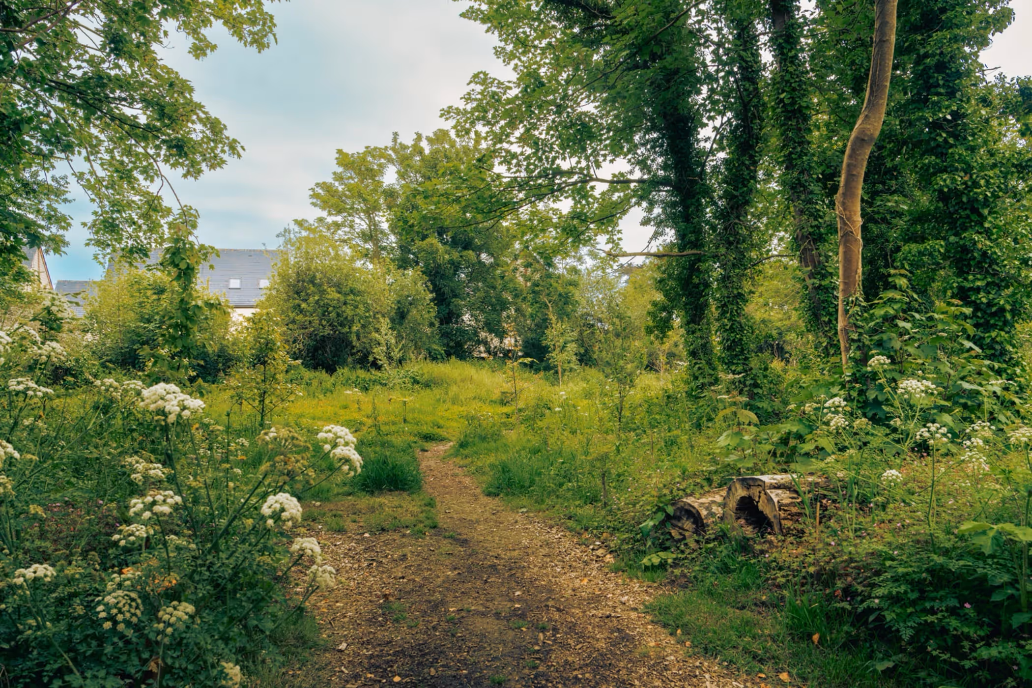 La Moye Woods