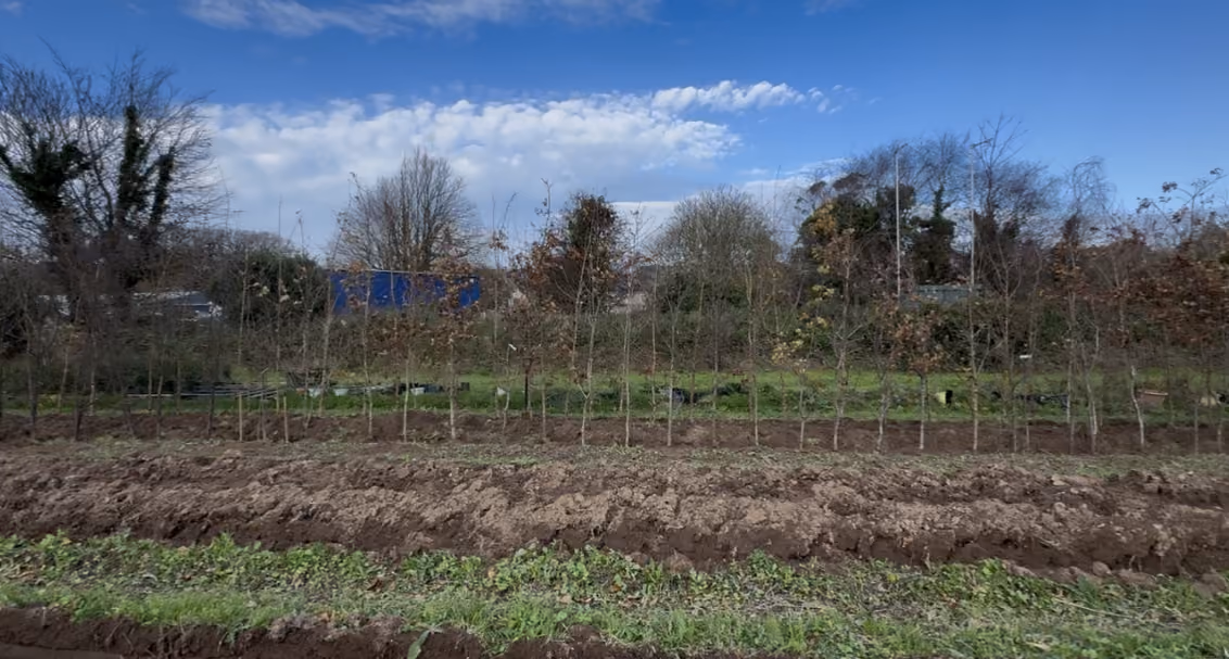 Jersey Trees for Life Nursery