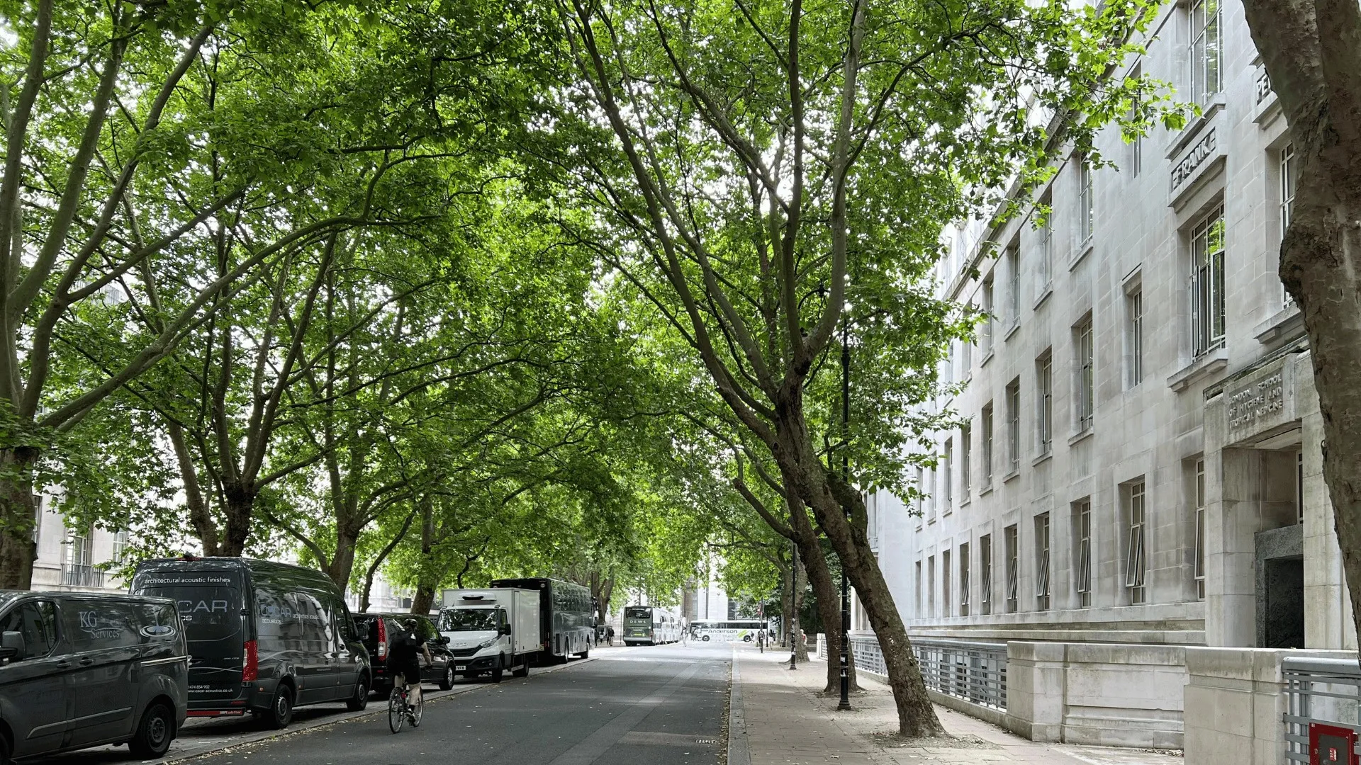 Urban tree life