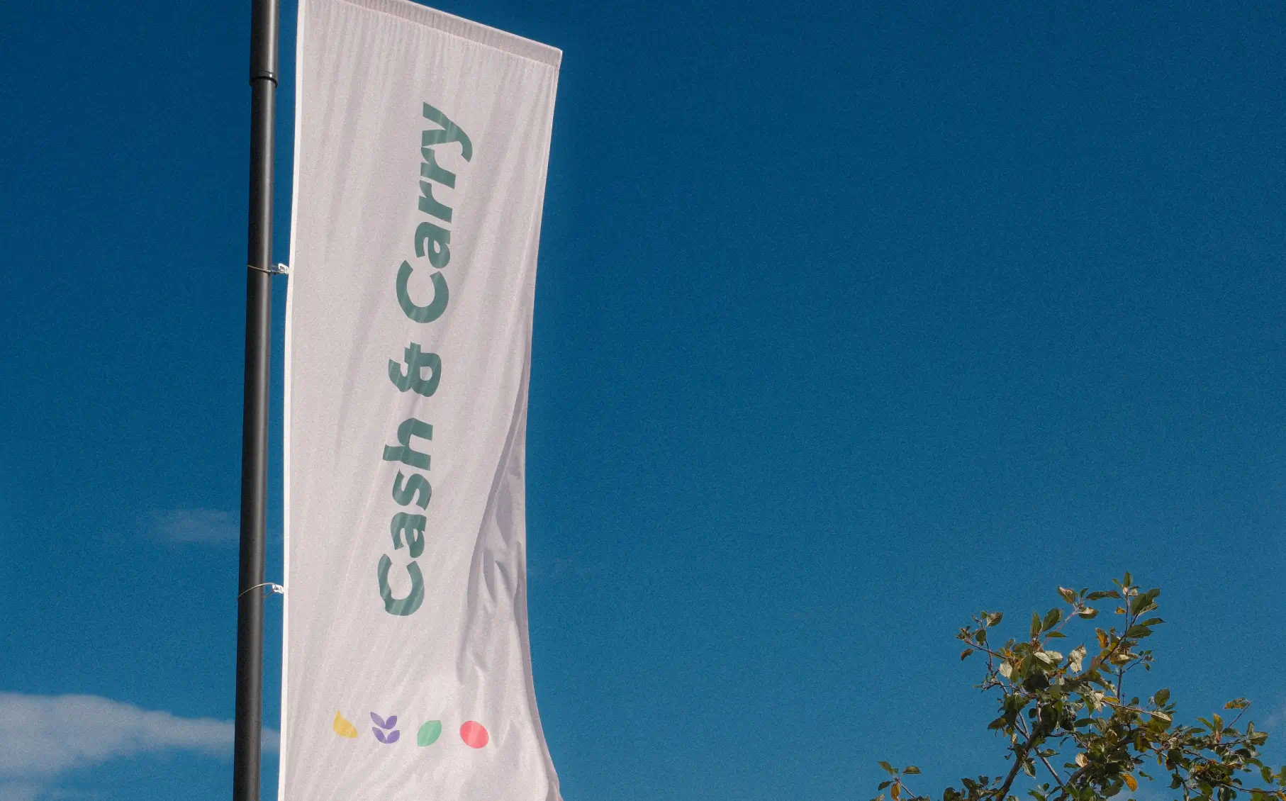 Vlag met de tekst 'Cash & Carry' tegen een helderblauwe lucht en een tak met bladeren.