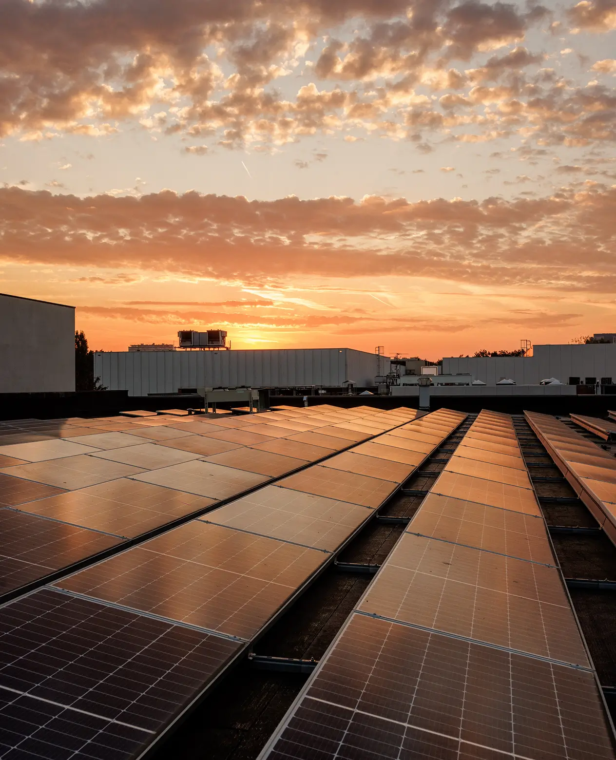 Zonnepanelen op het dak van een gebouw bij zonsondergang met een bewolkte lucht.