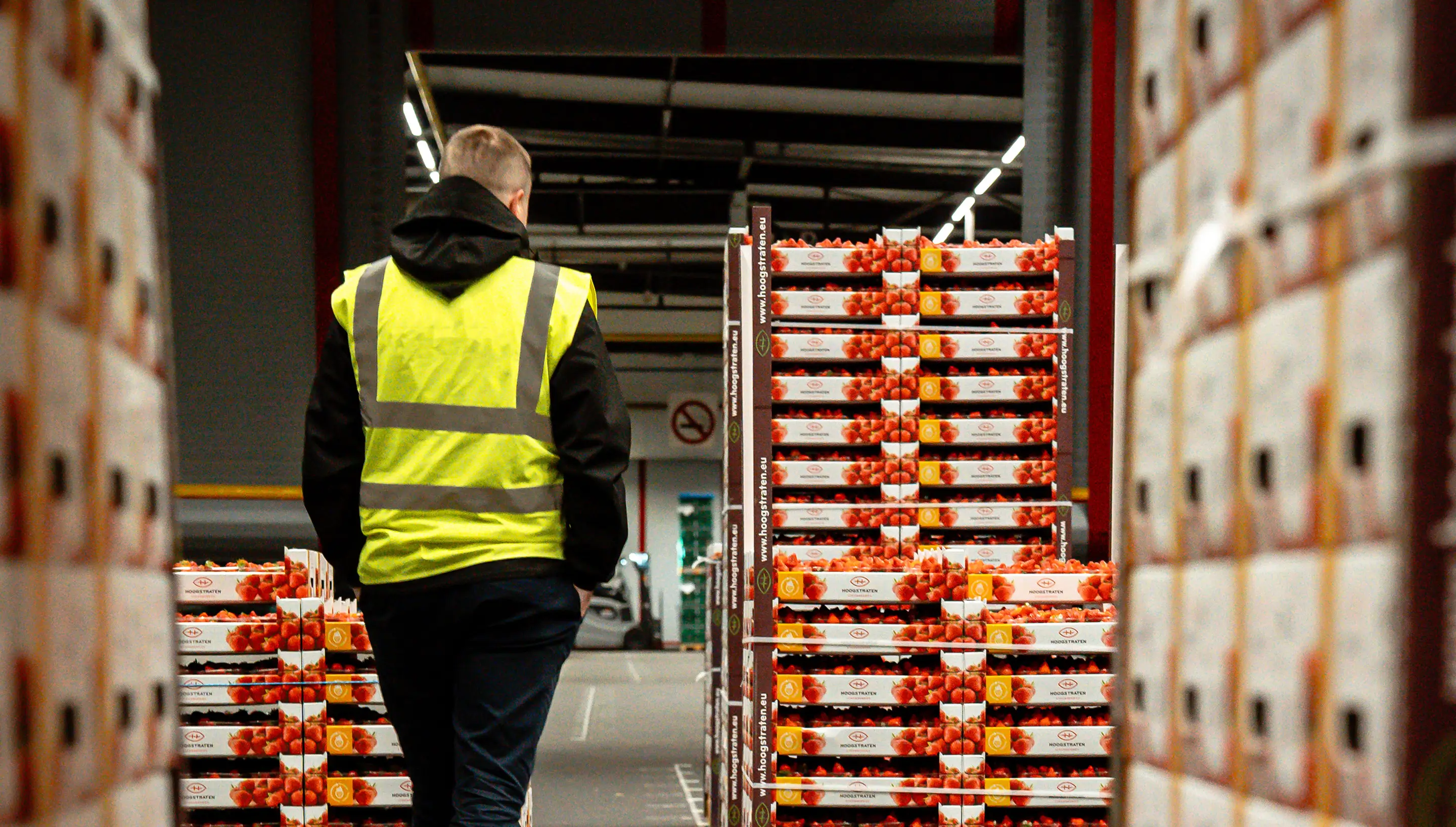 Man in geel veiligheidsvest loopt langs gestapelde dozen aardbeien in een magazijn.