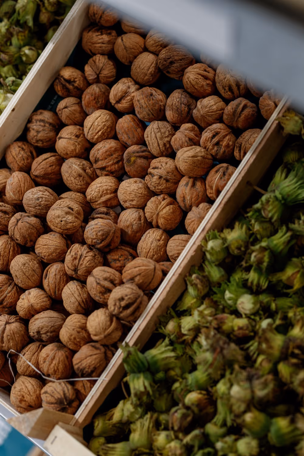 Houten bak met hele noten naast doos met groene hazelnootjes.