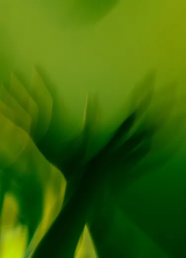 Blurred hands raised against a green background creating multiple shadowed outlines.