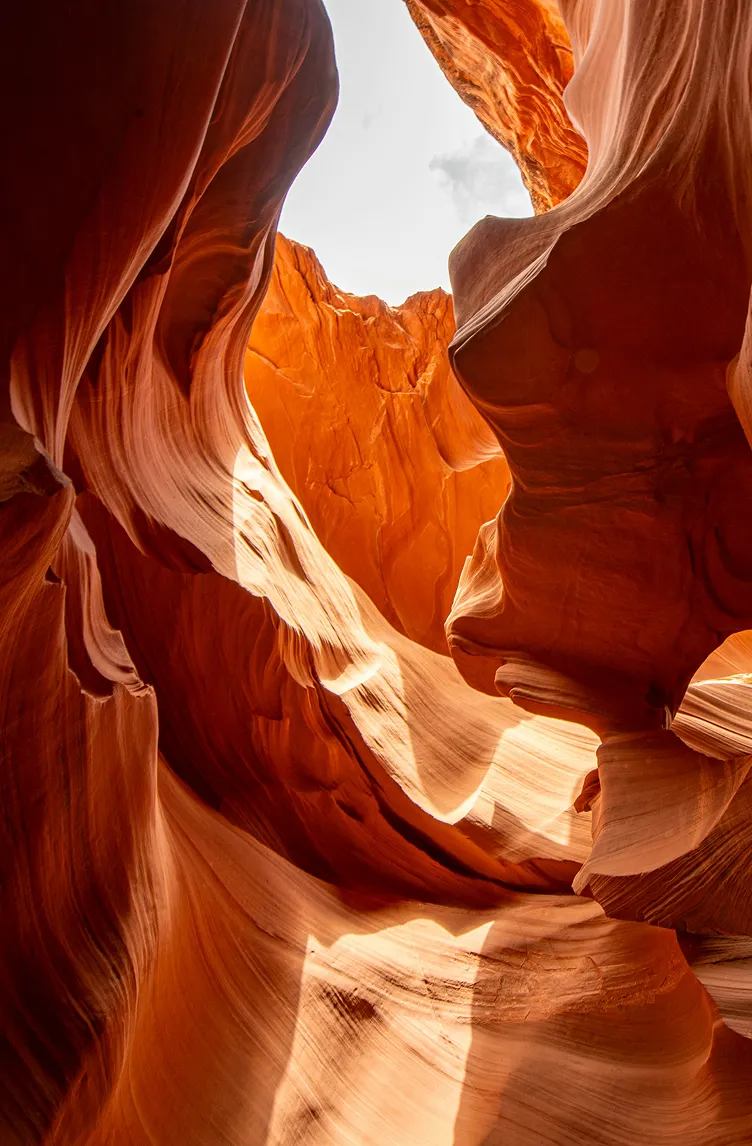 Sunlit swirling orange sandstone canyon walls showcasing smooth, flowing shapes and textures.