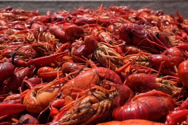 Image of Crawfish