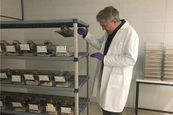 University of New Orleans psychology professor Christopher Harshaw has been awarded a three-year grant to research the nature of social hyperthermia using mouse models of ASD.