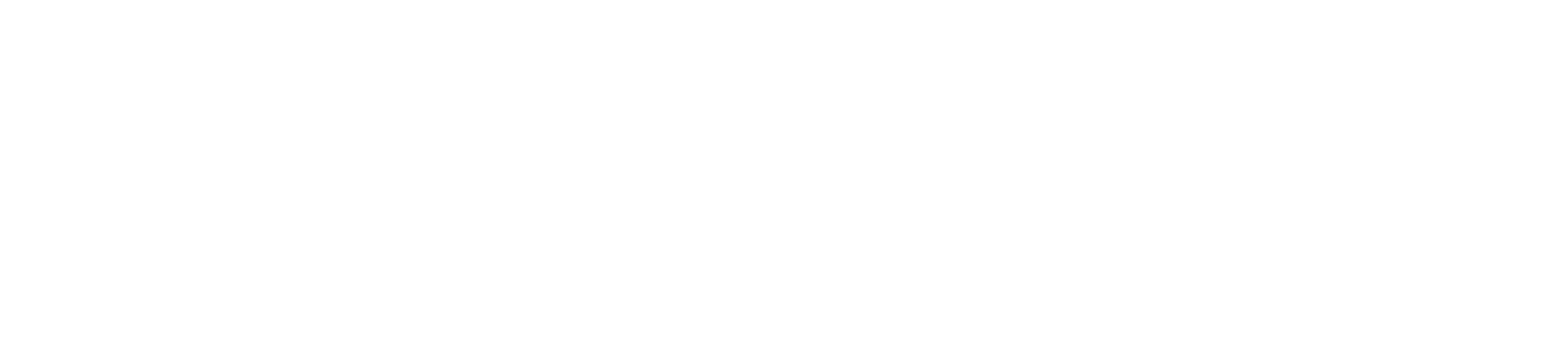 Logo DJ Paal 12