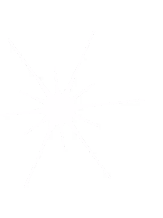 White starburst shape with long, irregular pointed rays on a transparent background.