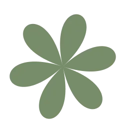 Green abstract flower shape with six petals on a transparent background.