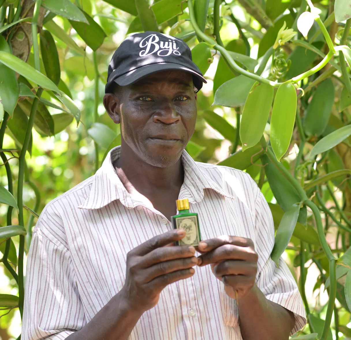 Hand holding a green bottle of Buji Vanilla Extract Uganda in a green field with leaves.