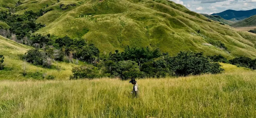 Person walking through tall grass in a green mountainous landscape under a partly cloudy sky.