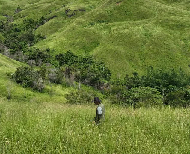 Person wearing hat standing in tall grass in a green hilly landscape with scattered trees.