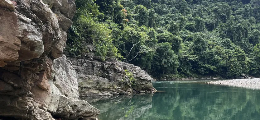 Clear river flowing beside rocky cliffs and dense green forest under overcast sky.