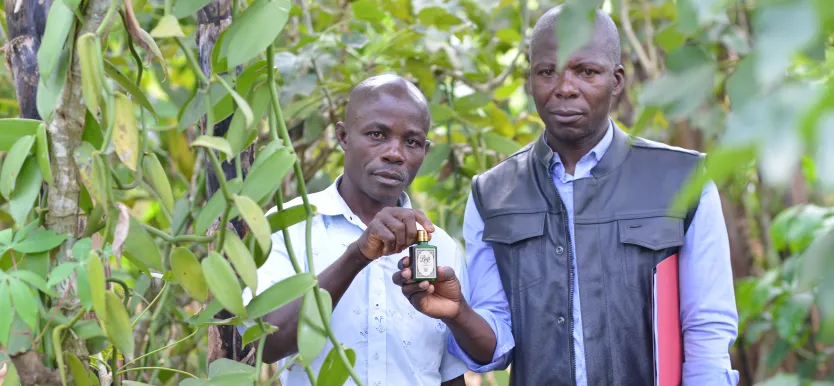 Two men standing among vanilla plants, one holding a bottle of vanilla extract.