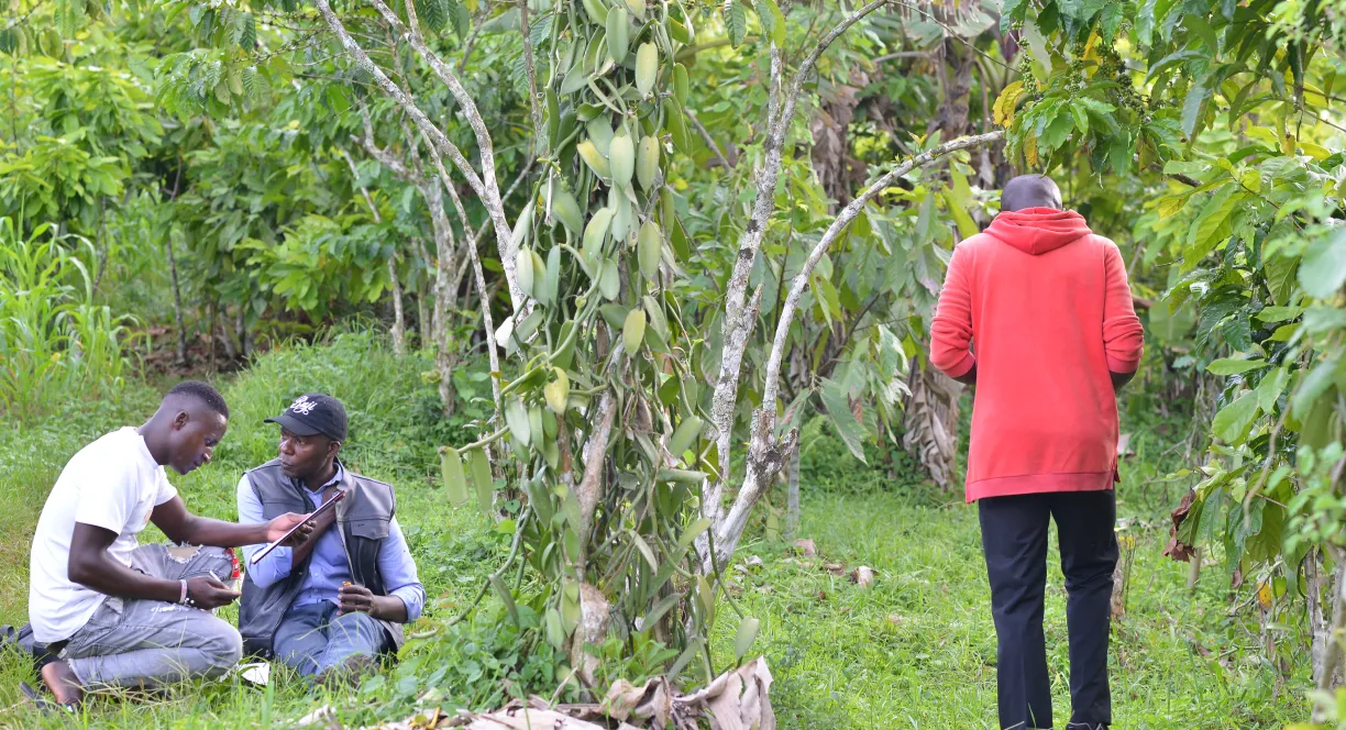 Two men sitting in green farm field working with tablet while another man in red hoodie stands nearby.