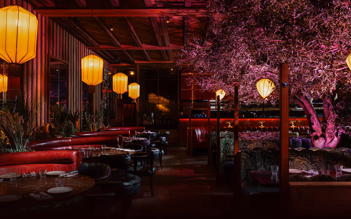 Silk lanterns and red leather banquettes in a dark dining room with a pink-lit indoor tree