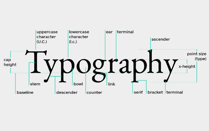 Understanding Typography
