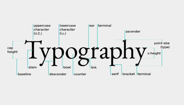 Typography components