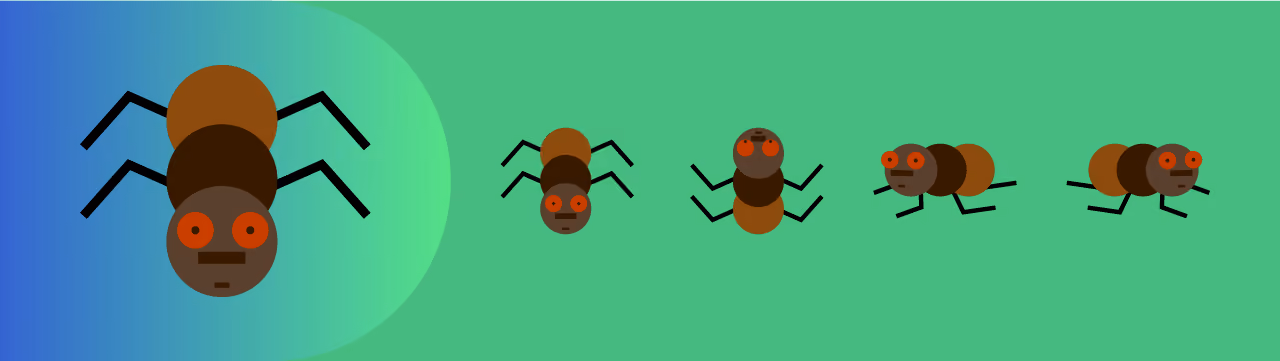 JTD ant