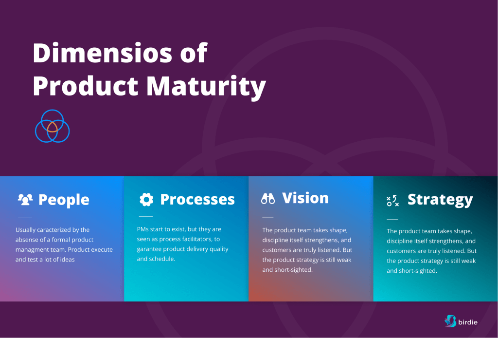 /></a><h3>People</h3><p>The people dimension assesses probably the most important piece of the product excellence puzzle: talent. Understanding the maturity of both your product leadership and your product team can help you identify gaps in knowledge and experience and guide you on hiring and performance management.</p><h3>Processes</h3><p>Product management is a lot about moving several different parts at the same time. Having the right processes, tools, and metrics in place is a sign of product maturity and an important element of the scalability and growth of a product team inside an organization.</p><h3>Vision</h3><p>A product without a vision hardly becomes a great product. Several companies don't have a clear product vision or see it as the same thing as the company vision. The lack of a vision makes it harder to motivate and unite your team, build a strategy, and decide what to prioritize or to let go.</p><h3>Strategy</h3><p>A product strategy is the how of a product vision. It is an important dimension because the strategy is what drives execution - it shows the path you ought to take to get where you want to get. </p><h2>The 5 product maturity stages</h2><p>The combination of the 4 dimensions generates 5 different product maturity stages. Moving to the next stage doesn't necessarily mean getting rid of all of the previous stages' characteristics; it's more like adding other layers to it, especially in terms of understanding when and how to use each of these characteristics. </p><p>