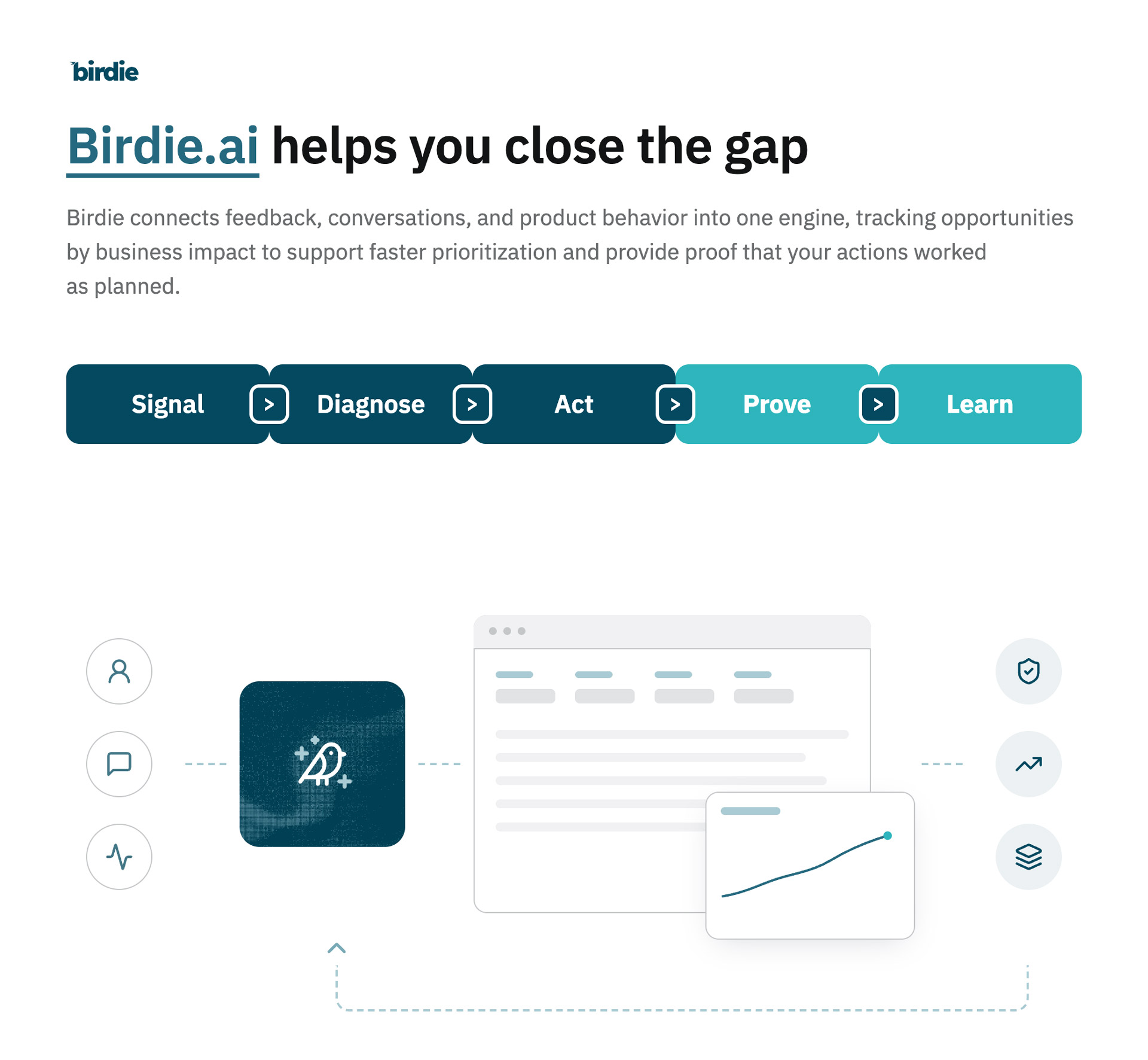 Where Birdie fits