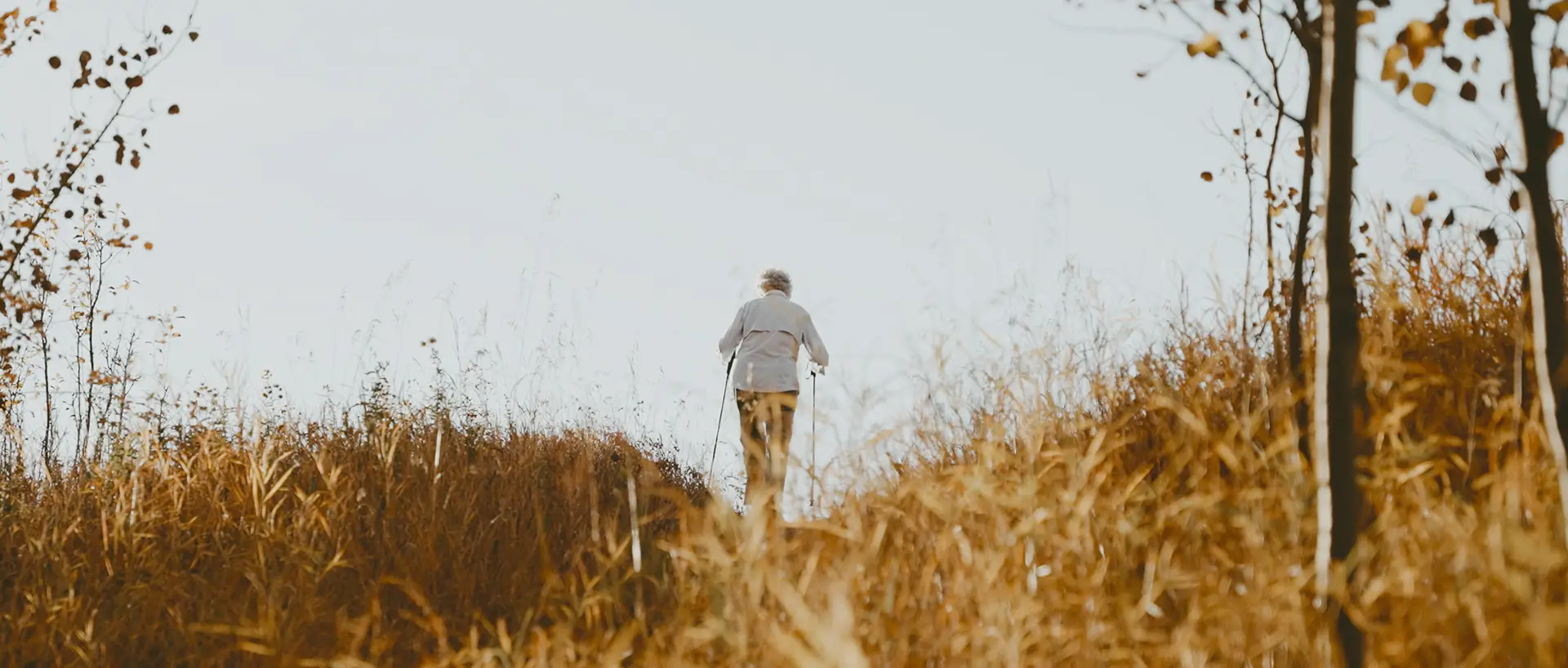 Personne âgée marchant avec des bâtons dans un champ d'herbes dorées à l'automne — Film & série Grandma Dorothy