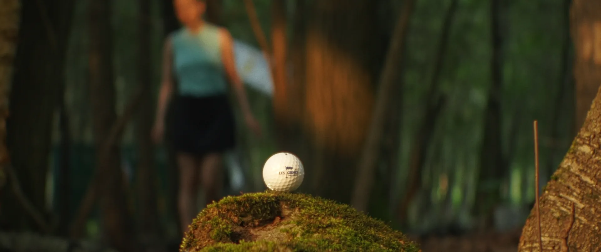 Golfeur triomphant vu depuis le trou de la coupe sur un vert ensoleillé — pub Les Cèdres Golf