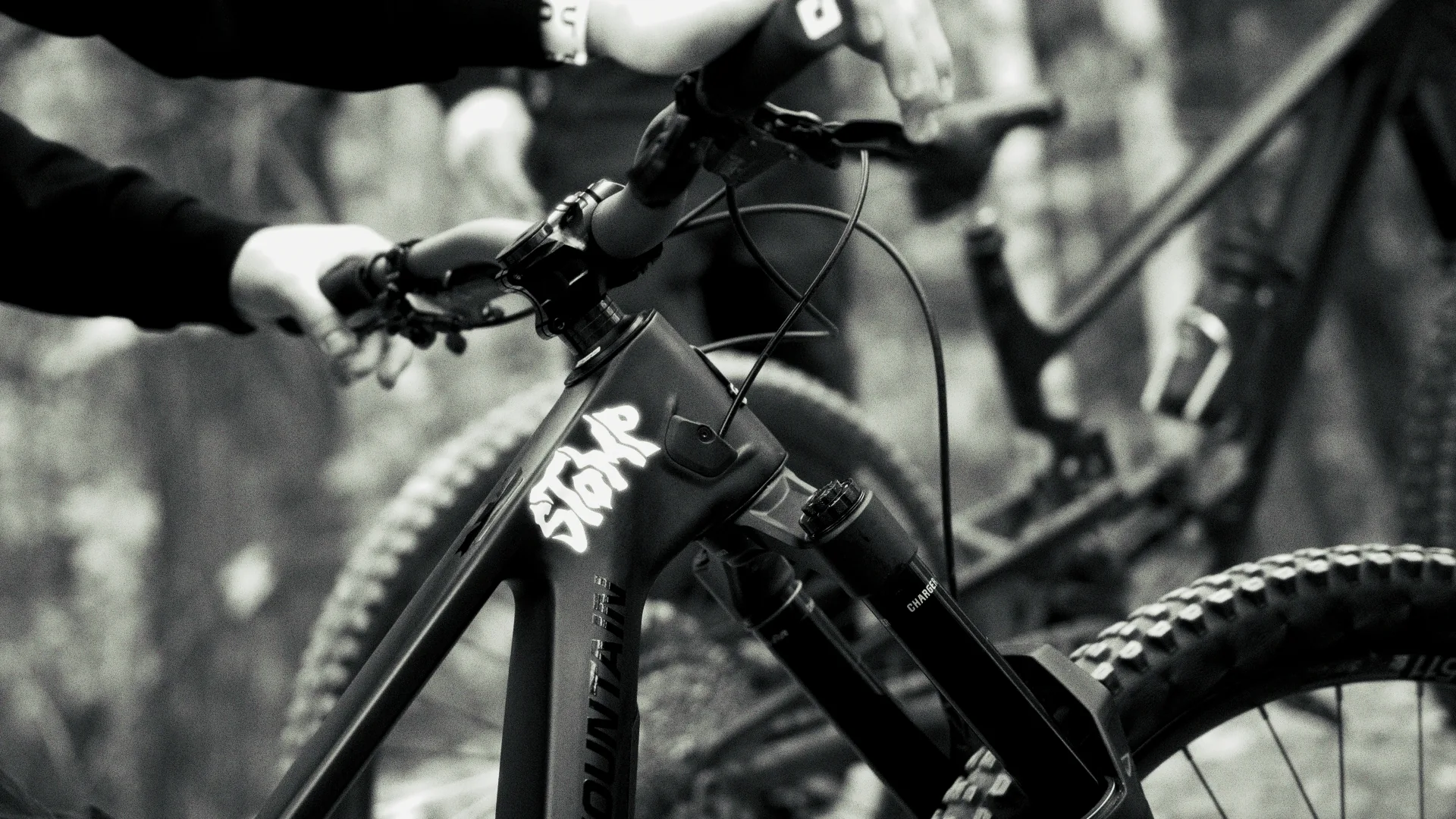 Cycliste de montagne en plein saut, capté en noir et blanc contrasté au-dessus des arbres
