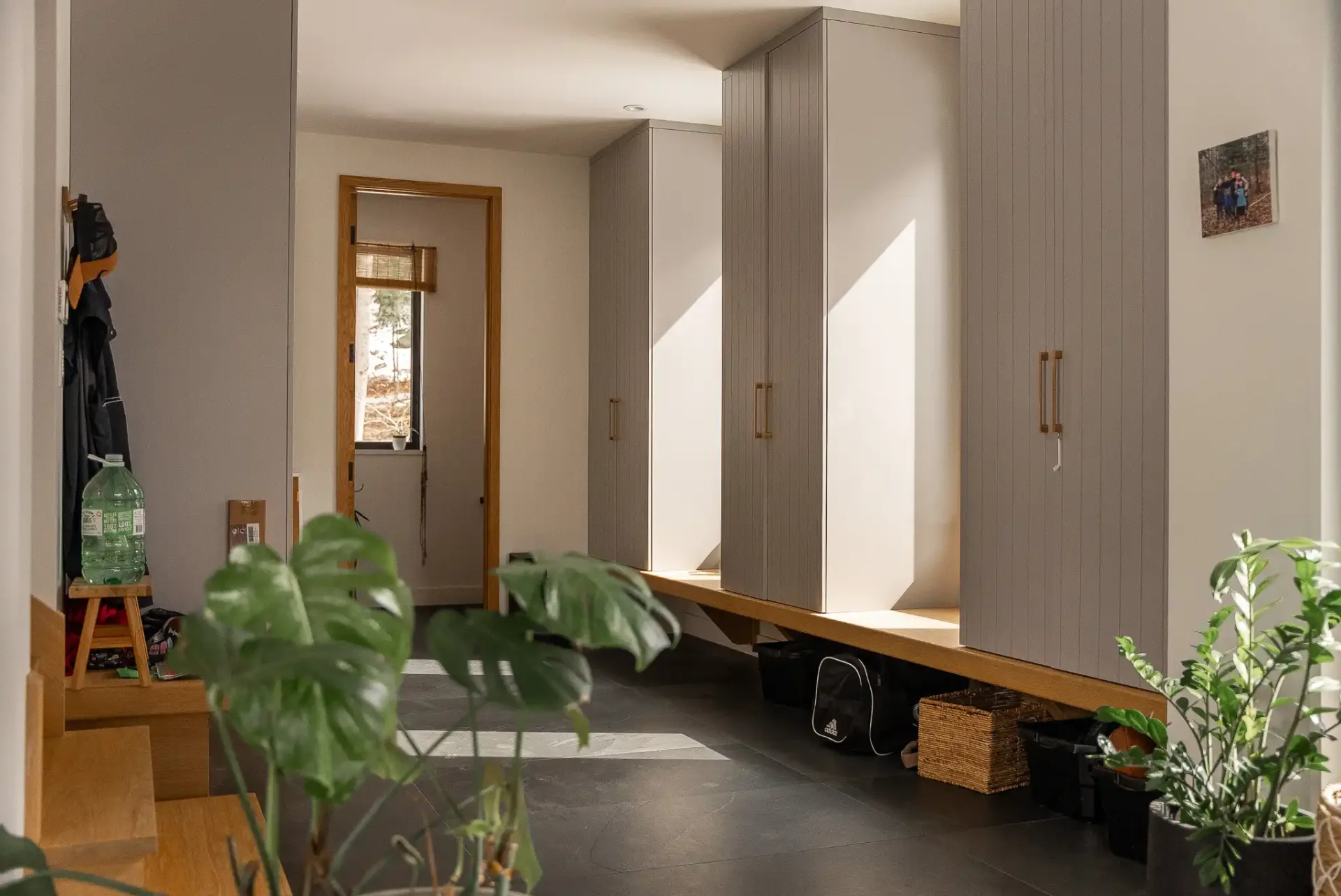 Vestibule aux rangements pleine hauteur, banc de bois et plantes vertes