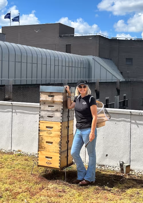 Urban beekeeping — Alvéole blog