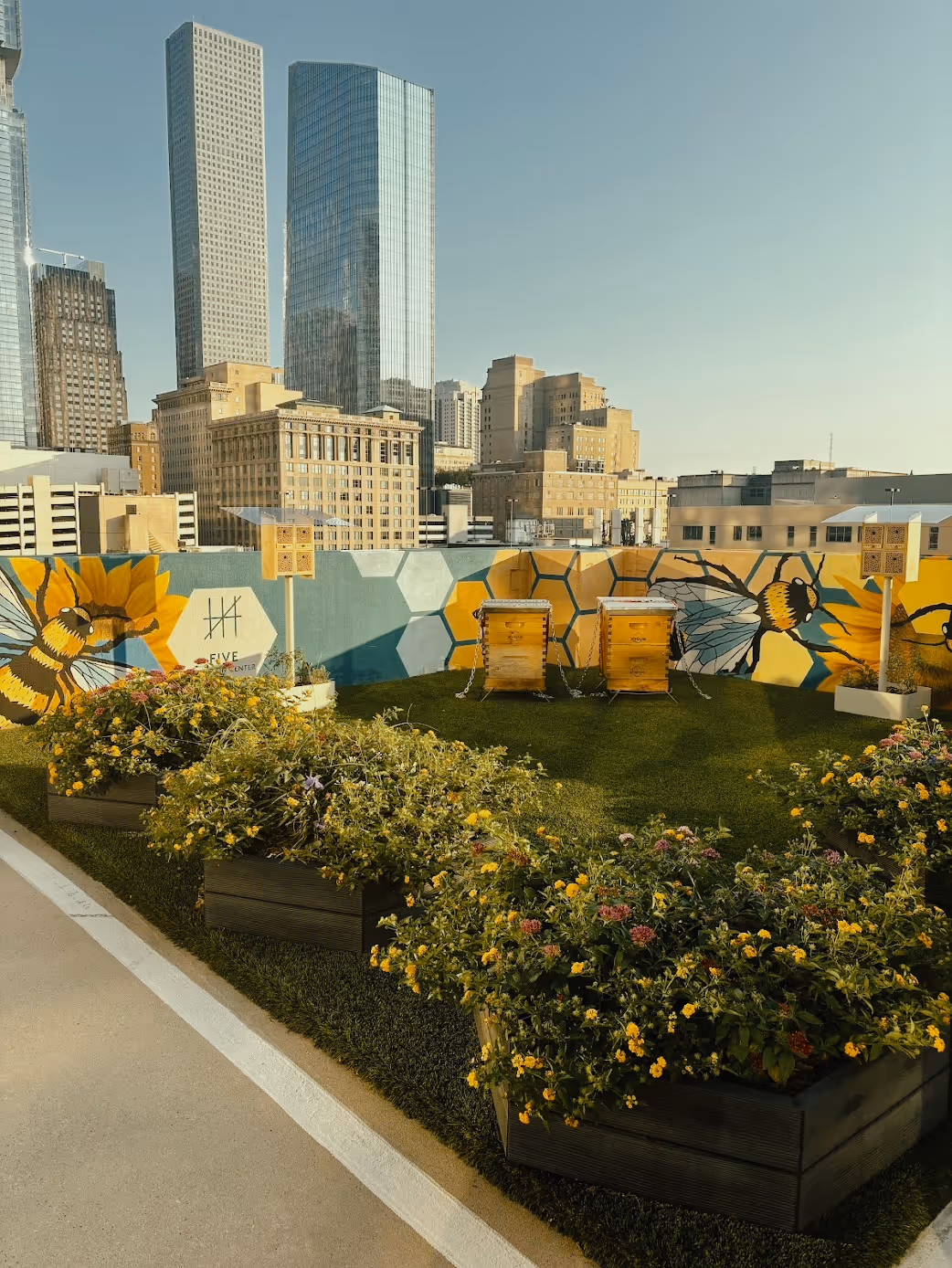 JLL hives and BeeHomes installed by Alvéole