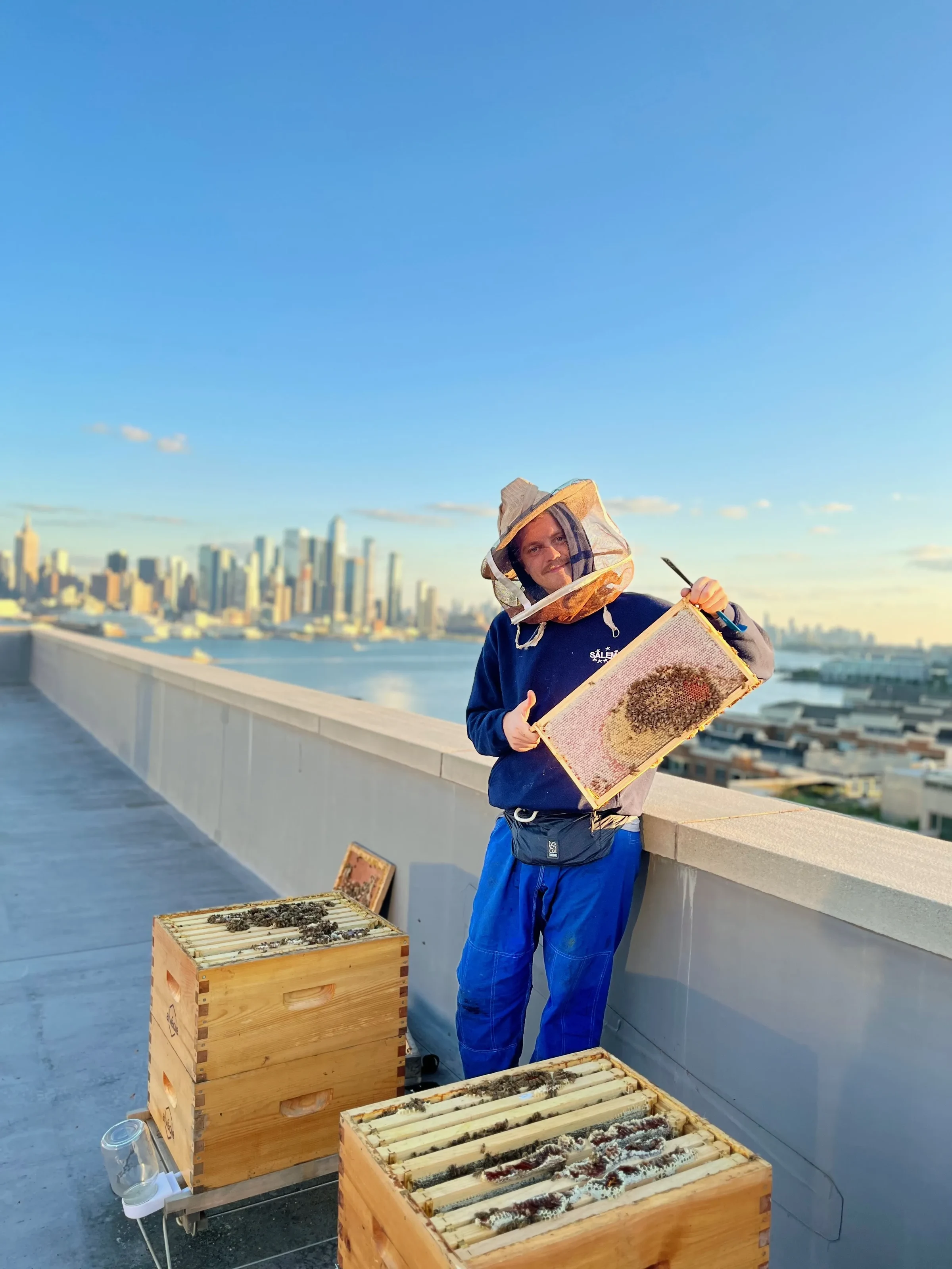 Suited Alvéole beekeeper inspecting a rooftop hive