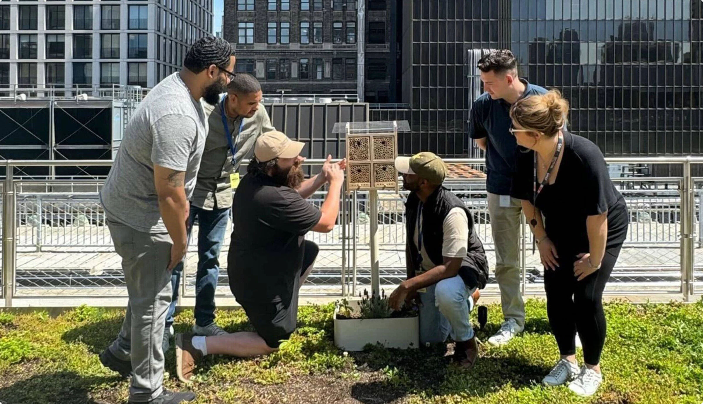 Alvéole rooftop beekeeping program hero image for office buildings