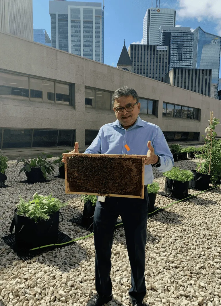 Alvéole beekeeper on a Toronto rooftop